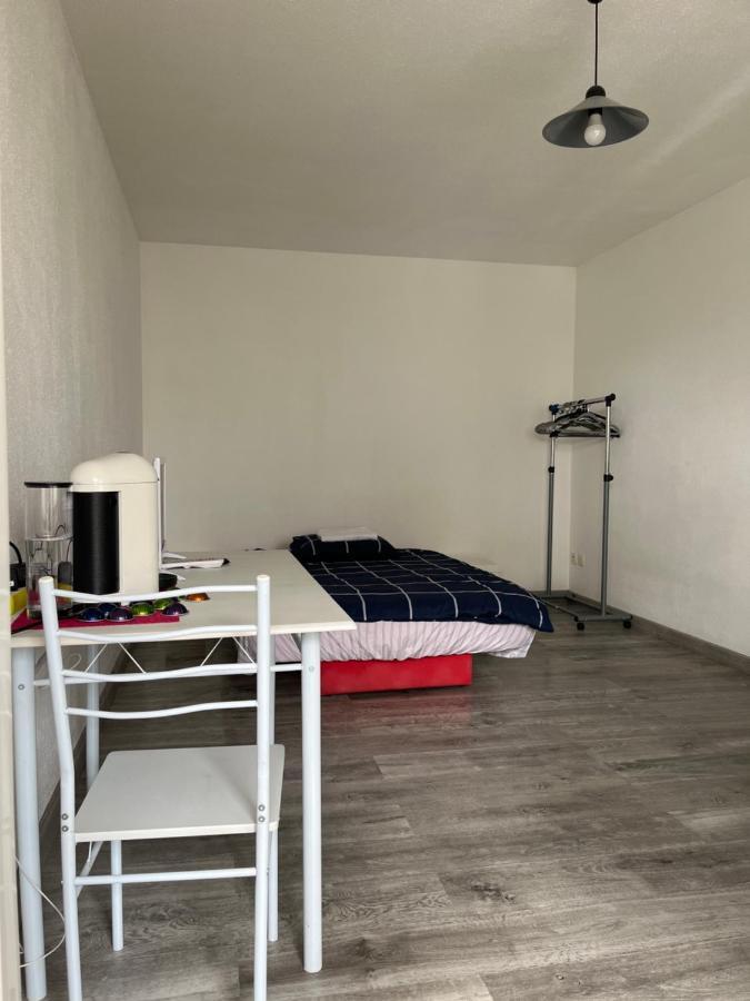 Logement Type Studio 1 Piece Proche Zenith Strasbourg Kültér fotó